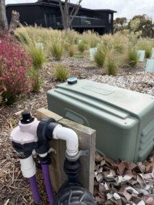Green PVC septic system box and purple treatment plant lines in a garden bed