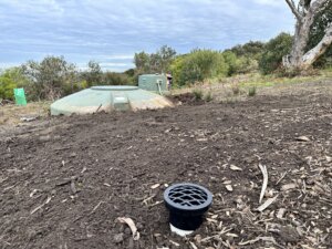 PVC round septic tank lid in a garden bed with a 100mm black pvc waste pipe in foreground