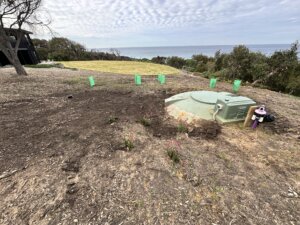 Coastal property with a green PVC septic system lid installed in a garden bed with the ocean in the background