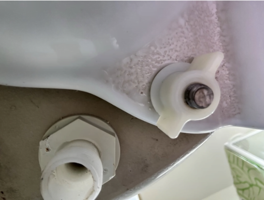 Close-up of a ceramic toilet flush mechanism, highlighting Bay Plumbing and Drainage's plumbing repair services in Geelong.