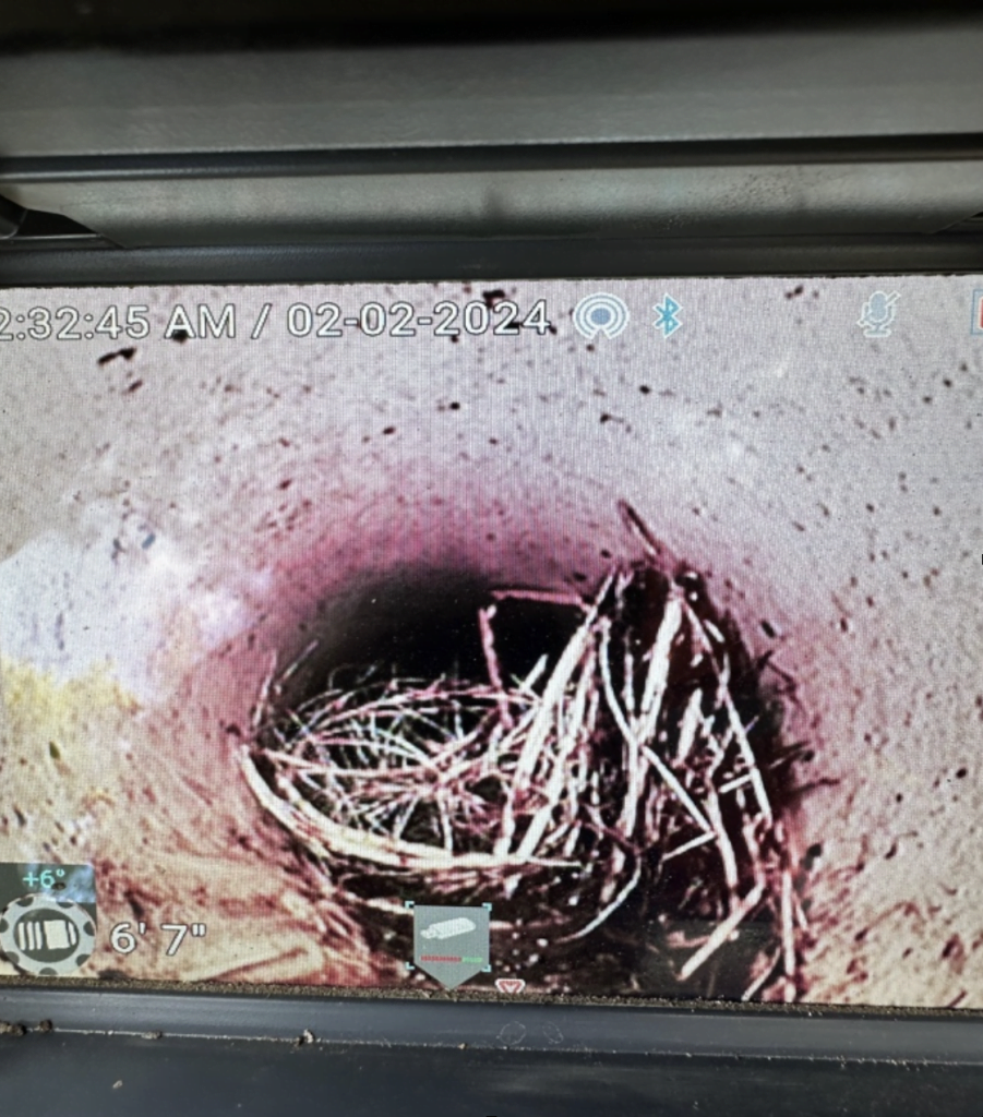 CCTV footage of a blocked drain in Geelong with a visible nest of roots causing obstruction taken from Bay Plumbing and Drainage.