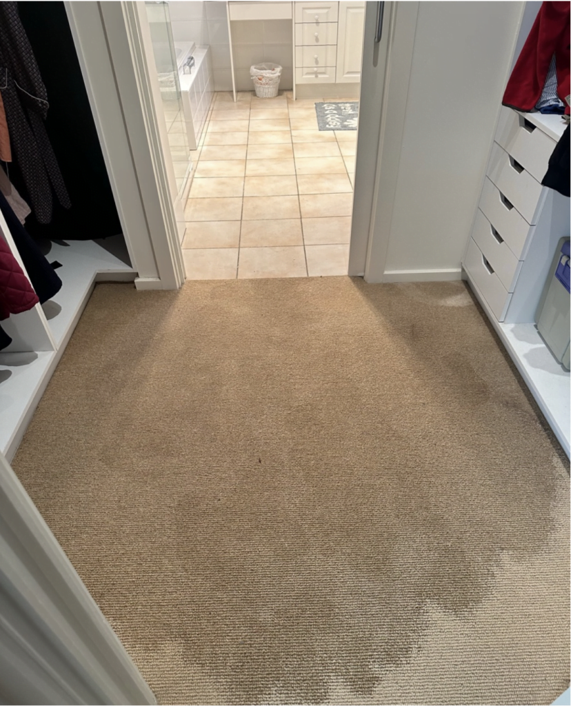 Residential Bathroom leak into carpet, luckily Bay Plumbing and Drainage provides Emergency Plumbing services throughout Geelong.