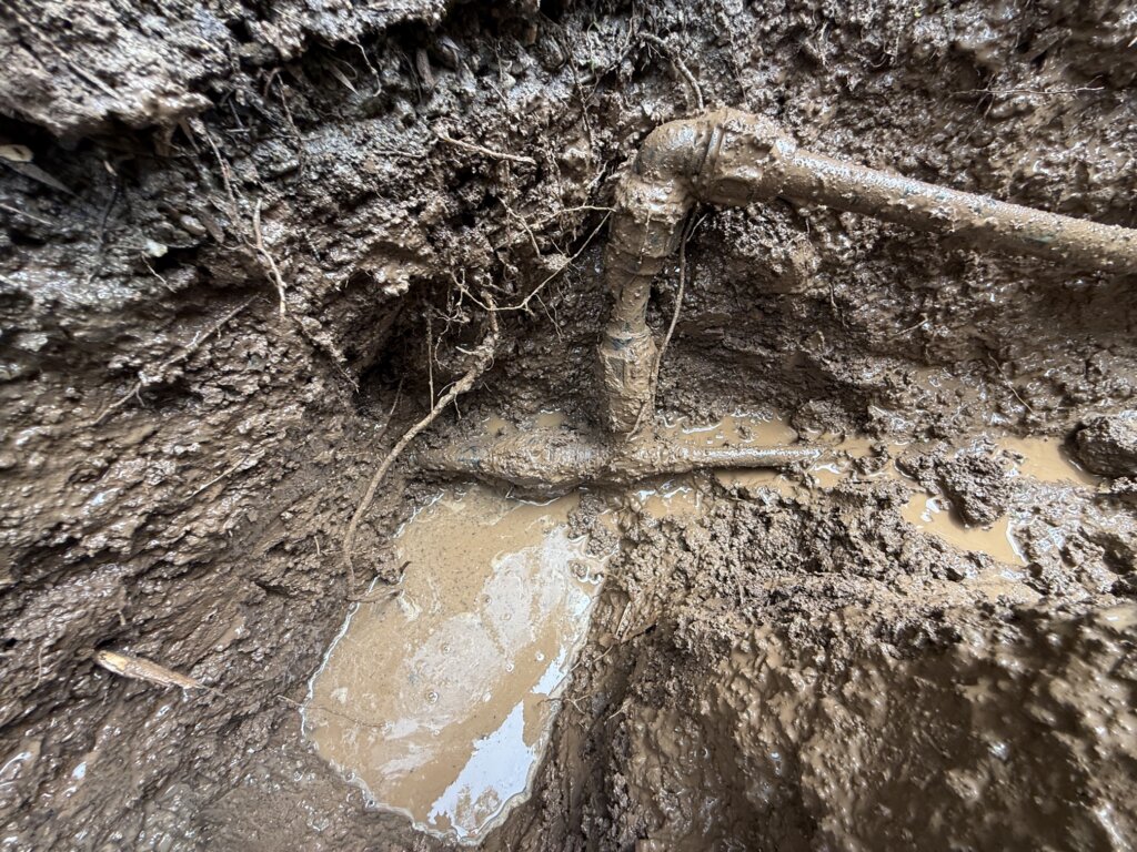 bde089421bdf0f2dda06a3a82c917f17dbd24f72