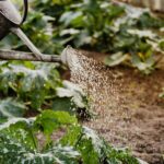 how does water recycling work
