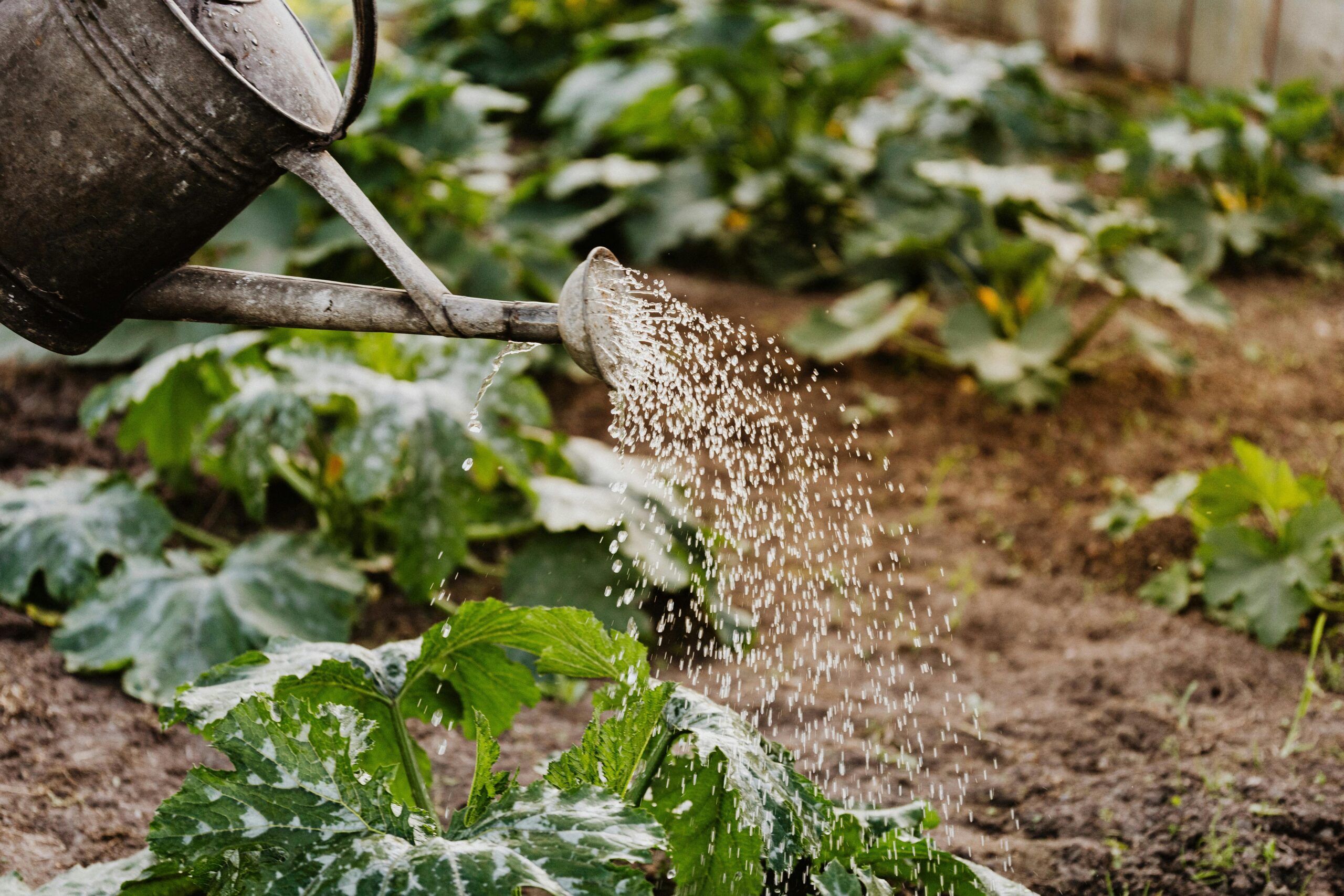 What Is Water Recycling?